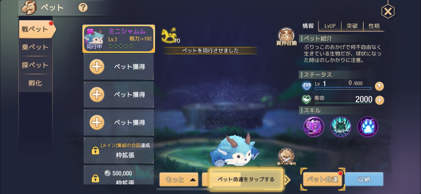 『ステラアルカナ 愛の光と運命の絆』レビュー③